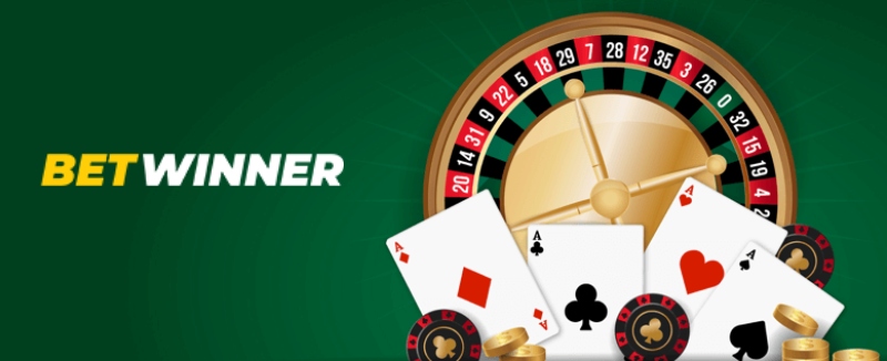  Betwinner 